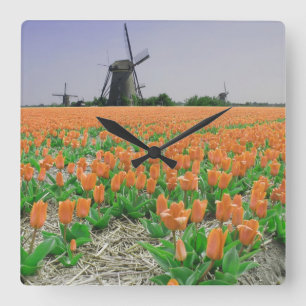 Oranje boomgaard vierkante klok