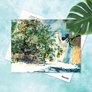 Oranje Boompoort Nassau Winslow Homer Briefkaart