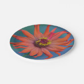 Oranje Bord Zinnia Papier (Gekanteld)