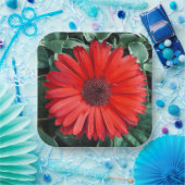 Oranje borden op dagpapier papieren bordje (Feest)