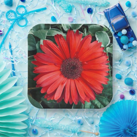 Oranje borden op dagpapier papieren bordje (Feest)