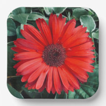 Oranje borden op dagpapier