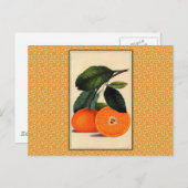  Oranje botanische afdrukken Briefkaart (Voorkant / Achterkant)