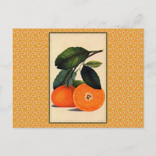  Oranje botanische afdrukken Briefkaart (Voorkant)