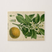 Oranje botanische afdrukken Legpuzzel (Horizontaal)