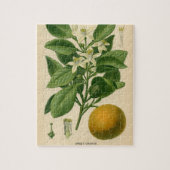 Oranje botanische afdrukken Legpuzzel (Verticaal)