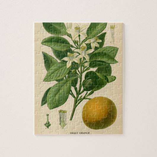 Oranje botanische afdrukken Legpuzzel (Verticaal)