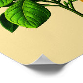  Oranje botanische afdrukken Poster (Hoek)