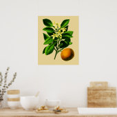 Oranje botanische afdrukken Poster (Keuken)