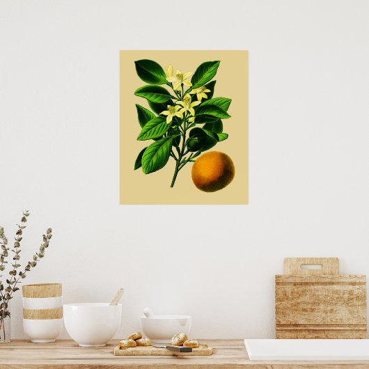  Oranje botanische afdrukken Poster (Keuken)