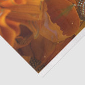 Oranje Botanische Afro-Amerikaanse Vrouw Decoupage Tissuepapier (Detail)