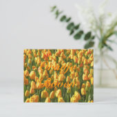 Oranje Boven Oranje Tulips Briefkaart (Staand voorkant)