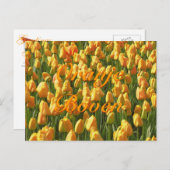 Oranje Boven Oranje Tulips Briefkaart (Voorkant / Achterkant)