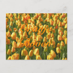 Oranje Boven Oranje Tulips Briefkaart