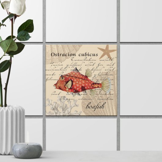 Oranje Boxfish Illustratie 🐡 Nautische Vintage Tegeltje