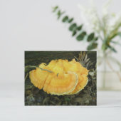 Oranje Bracket Fungus Briefkaart (Staand voorkant)
