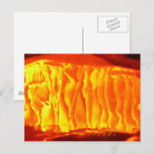 Oranje Briefkaart (Voorkant / Achterkant)