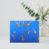 Oranje Briefkaart (Staand voorkant)