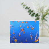 Oranje Briefkaart (Staand voorkant)