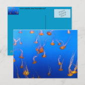 Oranje Briefkaart (Voorkant / Achterkant)