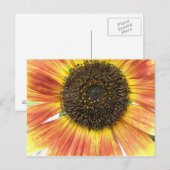 Oranje Briefkaart (Voorkant / Achterkant)
