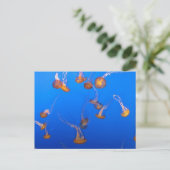 Oranje Briefkaart (Staand voorkant)