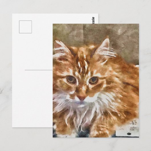 Oranje Briefkaart (Voorkant / Achterkant)