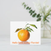 Oranje briefkaart - hallo uit zonnige Florida! (Staand voorkant)