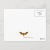 Oranje Briefkaart met gemarmerde motten (Achterkant)