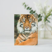 Oranje Briefkaart Tiger (Staand voorkant)