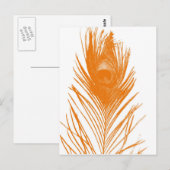 Oranje Briefkaart van de Peacock (Voorkant / Achterkant)