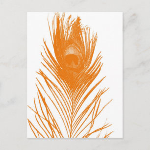 Oranje Briefkaart van de Peacock