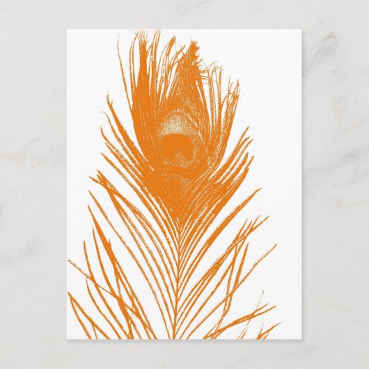Oranje Briefkaart van de Peacock (Voorkant)