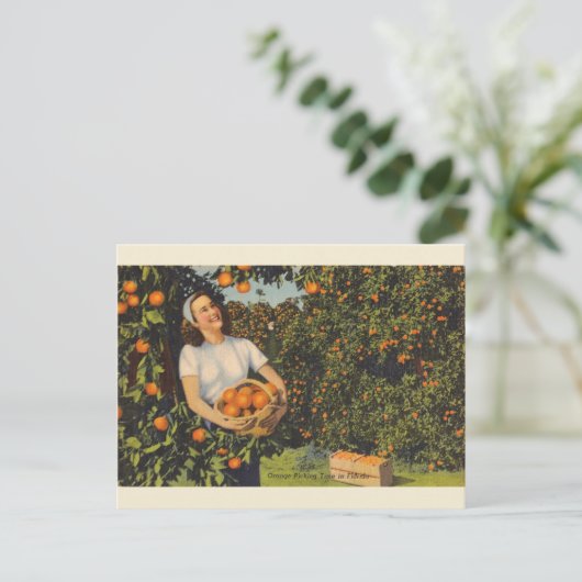  Oranje Briefkaart van de Tijd van Florida (Staand voorkant)