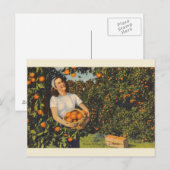  Oranje Briefkaart van de Tijd van Florida (Voorkant / Achterkant)