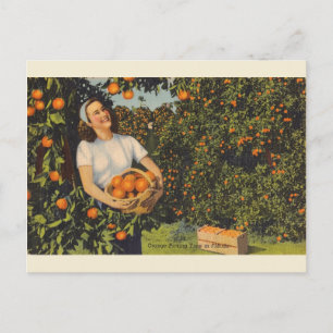  Oranje Briefkaart van de Tijd van Florida