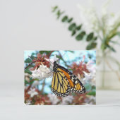 Oranje Briefkaart van Monarch Butterfly (Staand voorkant)