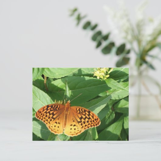 Oranje Briefkaart van vlinder (Staand voorkant)