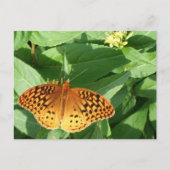 Oranje Briefkaart van vlinder (Voorkant)