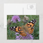 Oranje Briefkaart van vlinder (Voorkant / Achterkant)