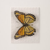 Oranje bruine gevlekte vlinder Puzzle Legpuzzel (Verticaal)