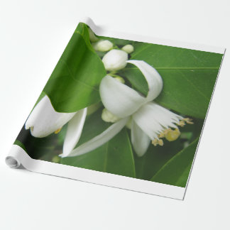 Oranje bulklosmolen cadeaupapier