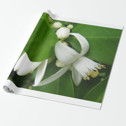 Oranje bulklosmolen cadeaupapier (Uitgerold)