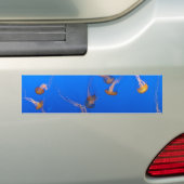 Oranje Bumpersticker (Op auto)