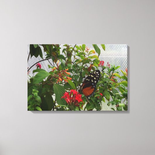 ORANJE BUTTERFLY CANVAS AFDRUK (Voorkant)