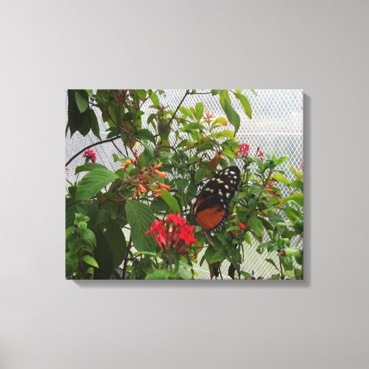 ORANJE BUTTERFLY CANVAS AFDRUK (Voorkant)