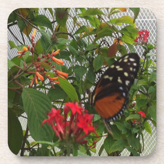 ORANJE BUTTERFLY DRANKJES ONDERZETTER (Voorkant)