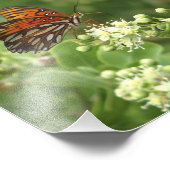 Oranje Butterfly-foto Foto Afdruk (Hoek)