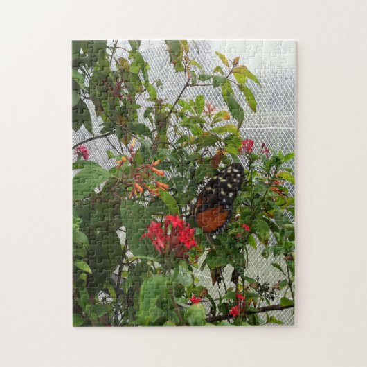 ORANJE BUTTERFLY LEGPUZZEL (Verticaal)