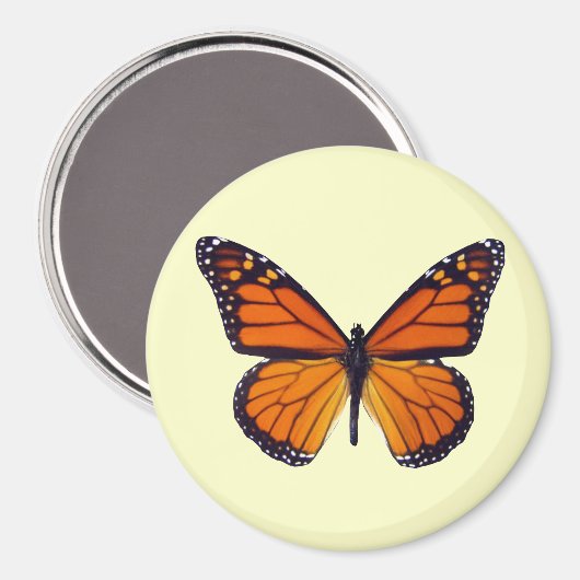Oranje Butterfly Magnet (Voorkant / Achterkant)